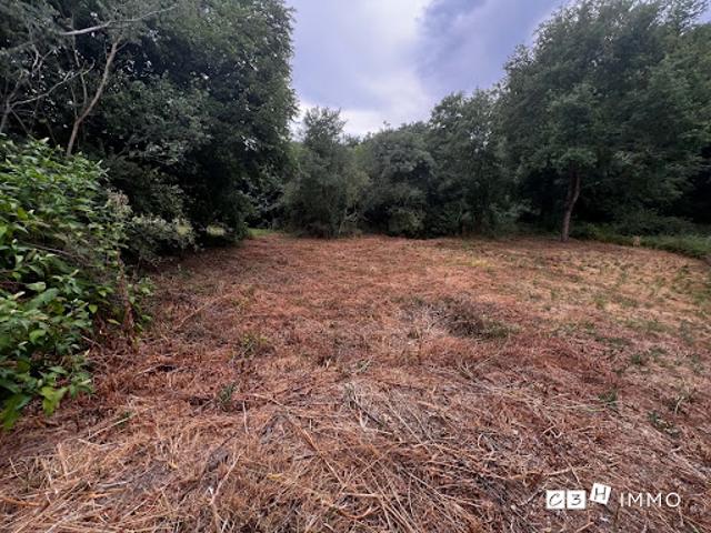 Vente Terrain 1273 m2 Lavernose Lacasse