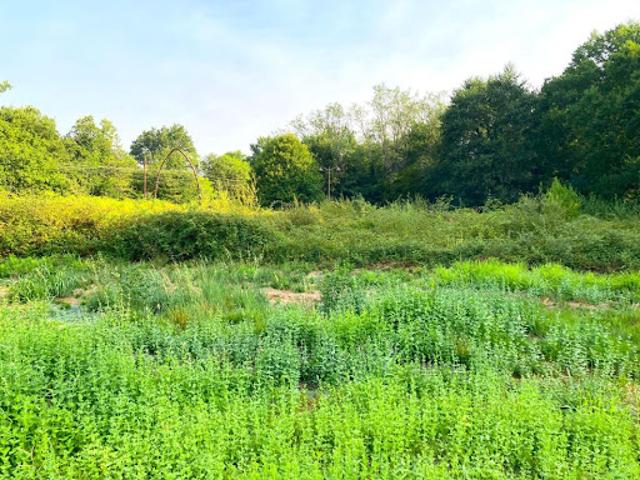 Vente Terrain 1274 m2 Morcenx la Nouvelle
