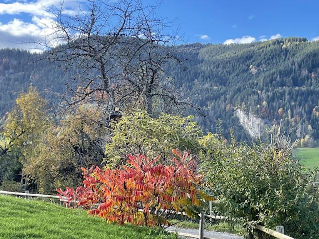 Vente Terrain 1277 m2 Megeve