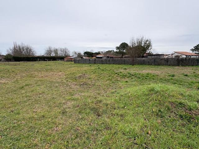 Vente Terrain 1280 m2 Biscarrosse