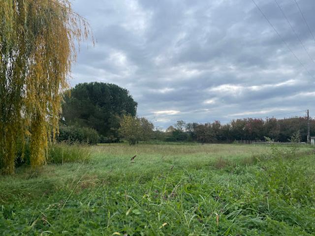 Vente Terrain 1280 m2 Martres Tolosane