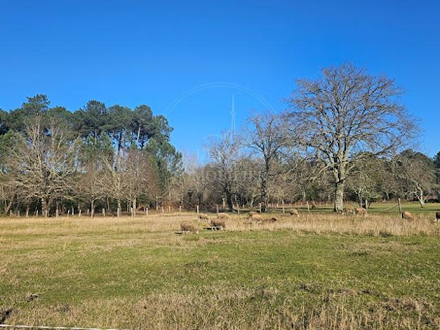Vente Terrain 1280 m2 Mios