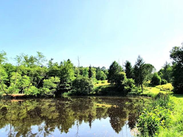 Vente Terrain 12820 m2 Brive la Gaillarde