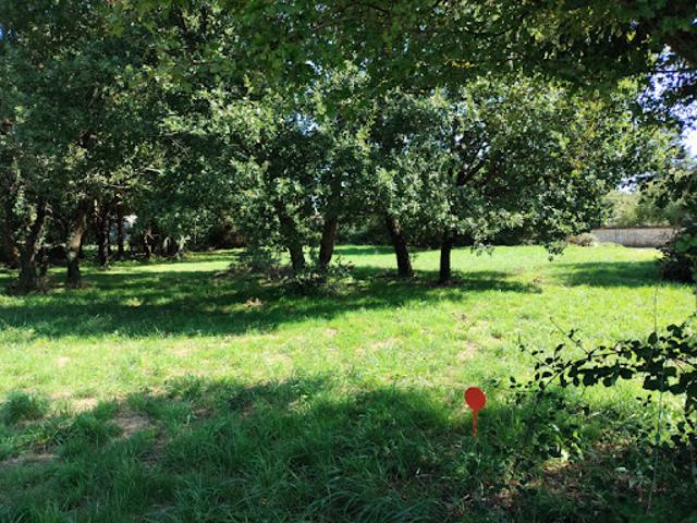 Vente Terrain 1282 m2 Tesson