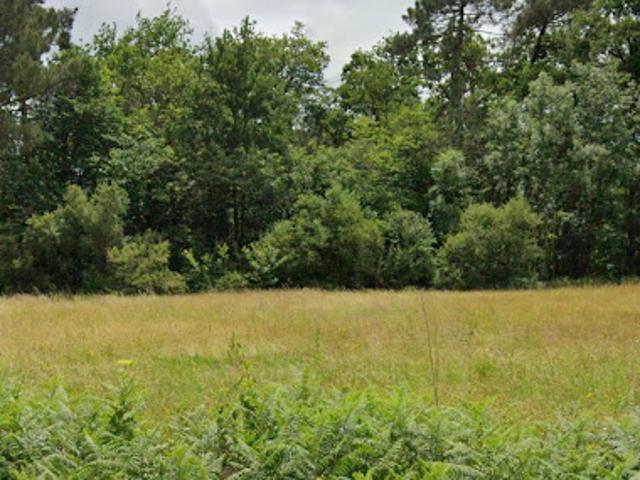 Vente Terrain 1284 m2 Coursac
