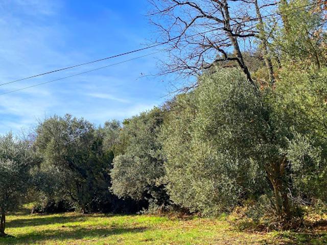 Vente Terrain 1285 m2 Peyruis