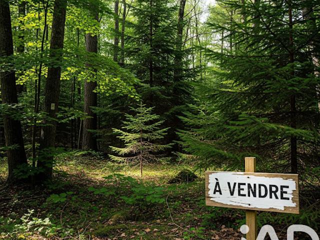 Vente Terrain 12875 m2 Arsac