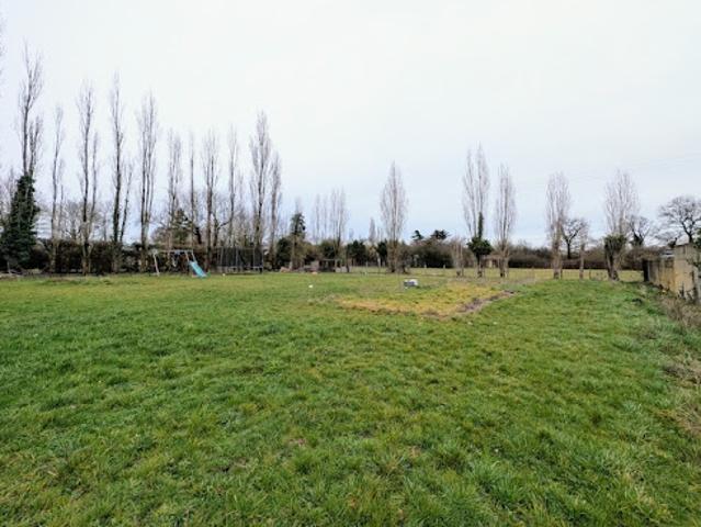 Vente Terrain 1291 m2 Nueil les Aubiers