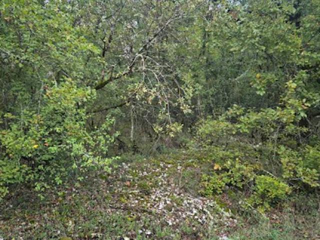Vente Terrain 1292 m2 Pinsac