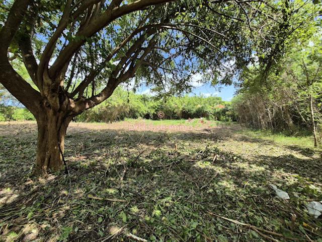 Vente Terrain 1299 m2 Le vauclin