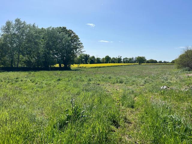 Vente Terrain 13000 m2 Saint Germain du Pinel