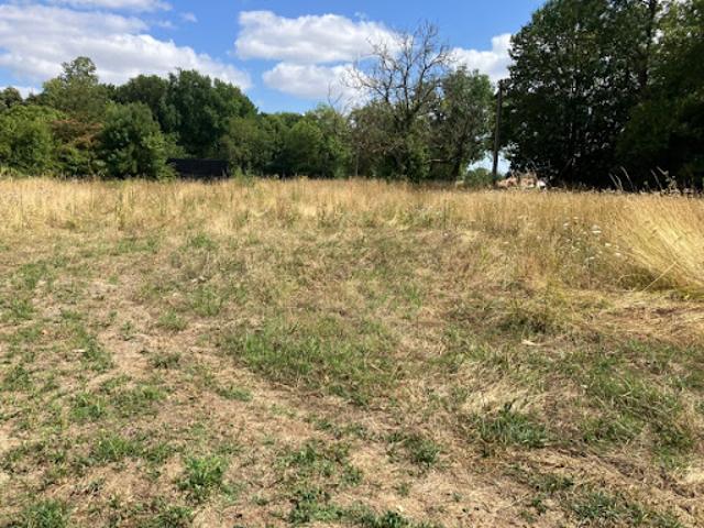 Vente Terrain 1300 m2 Archingeay