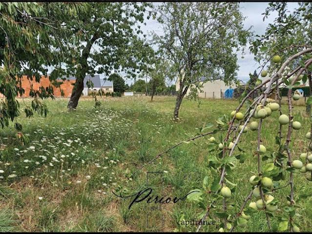 Vente Terrain 1300 m2 Baugé en Anjou