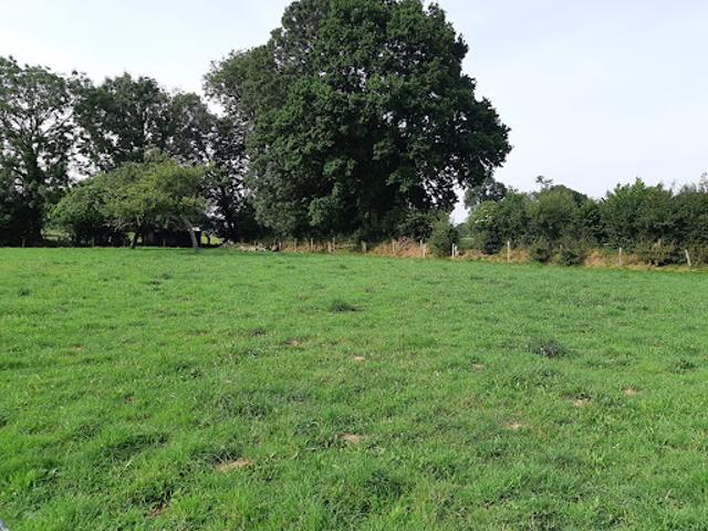 Vente Terrain 1300 m2 Granville