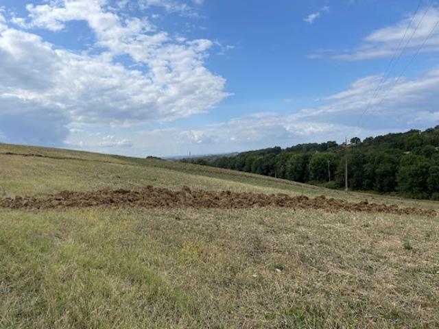 Vente Terrain 1300 m2 Montfa