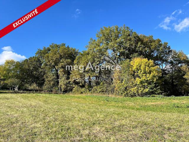 Vente Terrain constructible 1300 m2 Saint Germain du Salembre