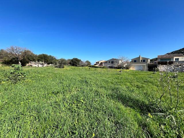 Vente Terrain 1300 m2 Santa Reparata di Balagna