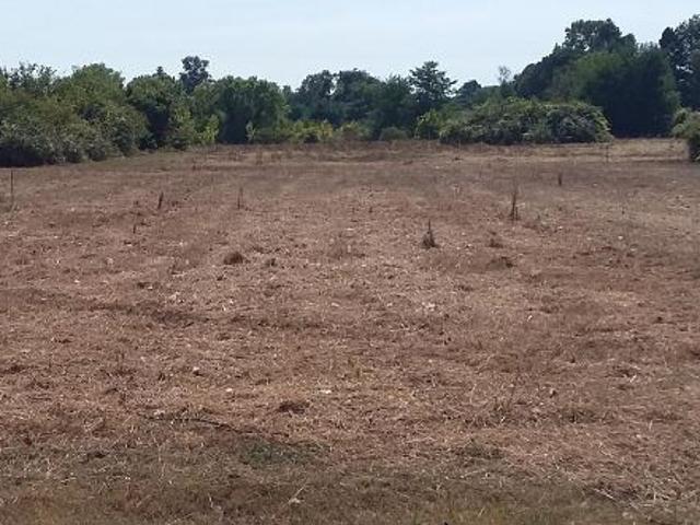 Vente Terrain 1300 m2 Prignac en Médoc