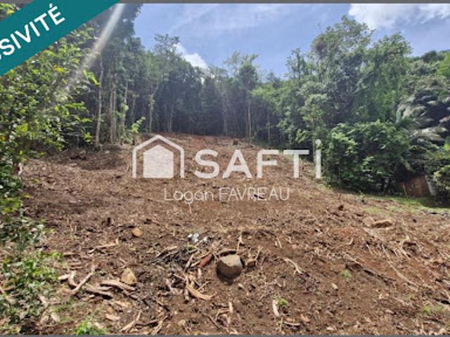 Vente Terrain constructible 1301 m2 Riviere salee