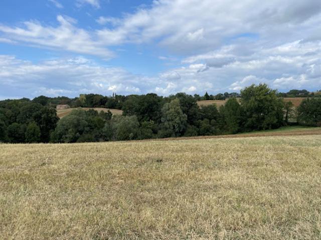 Vente Terrain 1302 m2 Montfa