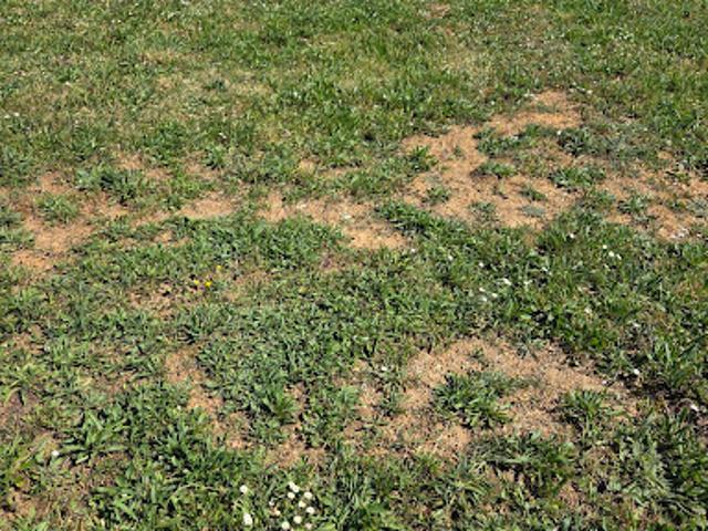 Vente Terrain 1302 m2 Saint Jean Pierre Fixte