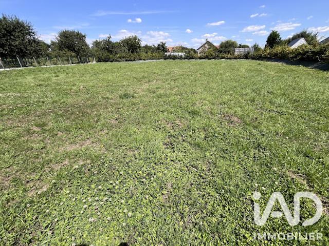 Vente Terrain 1304 m2 Beuzeville