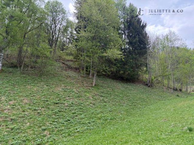 Vente Terrain 1306 m2 Chamonix Mont Blanc