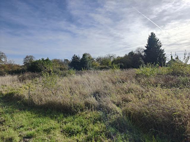 Vente Terrain 1306 m2 La Vespière