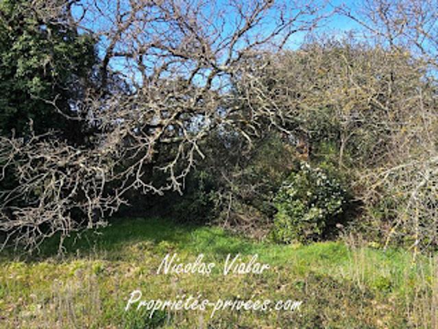 Vente Terrain 1309 m2 Montelimar