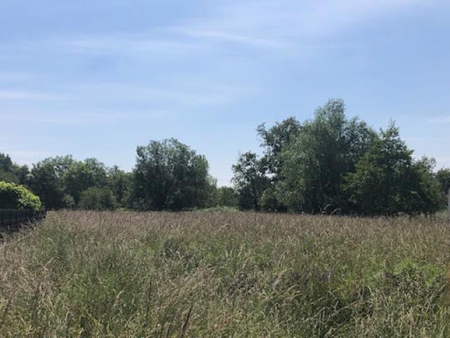 Vente Terrain 1313 m2 Allonnes