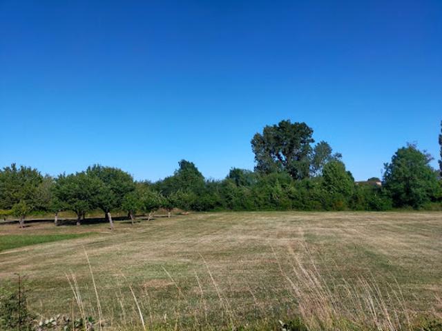 Vente Terrain 1315 m2 Chassors