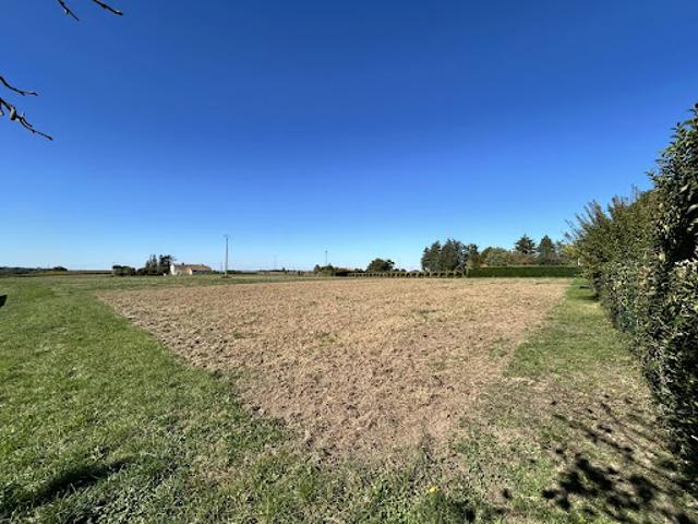 Vente Terrain 1319 m2 Pujols
