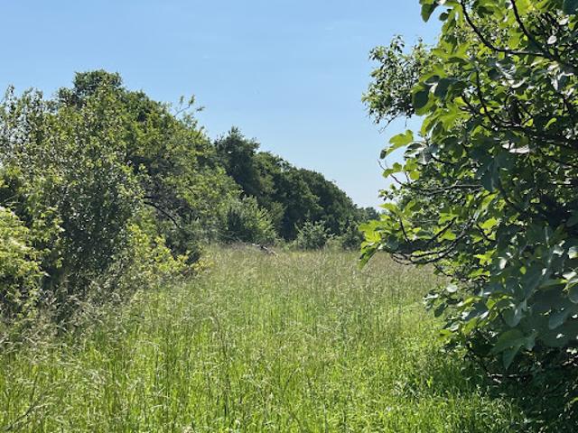 Vente Terrain 1322 m2 Verdille