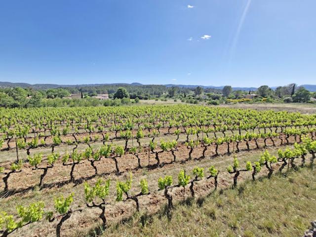 Vente Terrain 1323 m2 Carces