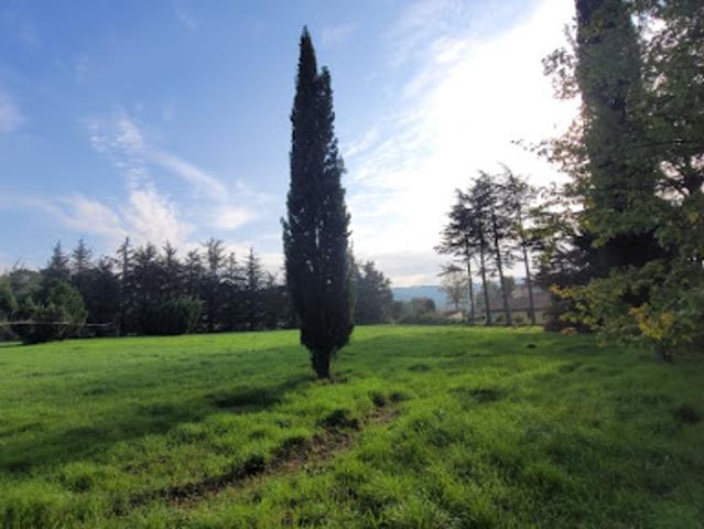 Vente Terrain 1330 m2 Allan