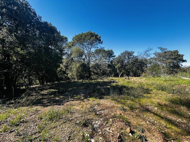 Vente Terrain 1330 m2 Le Thoronet