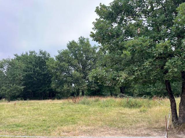 Vente Terrain 1331 m2 Nogaro