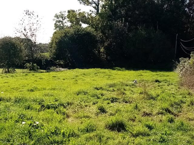 Vente Terrain 1334 m2 Saint Vaast Dieppedalle