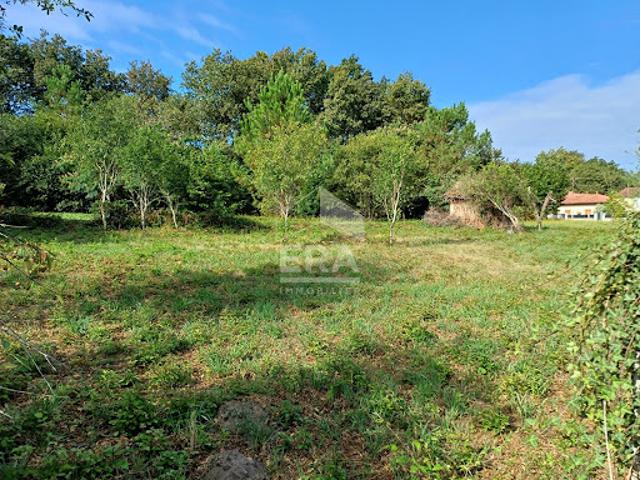 Vente Terrain 1335 m2 Mont de Marsan