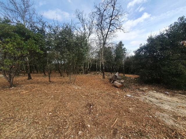 Vente Terrain 1338 m2 Labastide de Virac