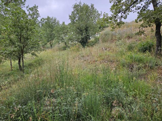 Vente Terrain 1338 m2 Saint Paul en Forêt