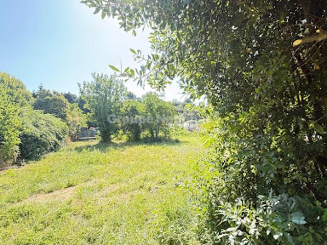 Vente Terrain 1346 m2 Vacqueyras
