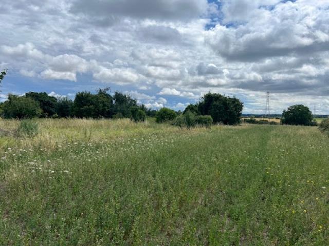 Vente Terrain 1350 m2 Juigné Sur Loire