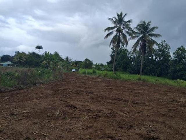 Vente Terrain 1353 m2 Lamentin