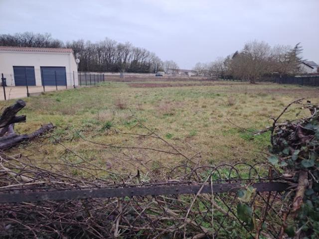 Vente Terrain 1353 m2 Neuville de Poitou