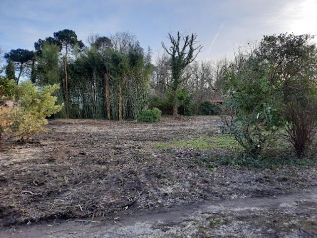 Vente Terrain 1356 m2 Gradignan
