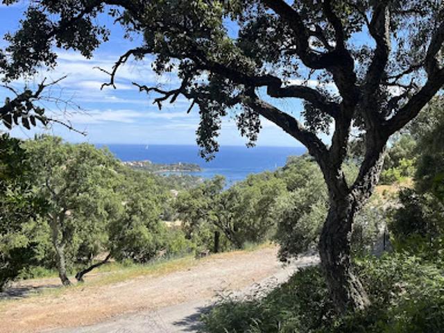 Vente Terrain 1356 m2 Saint raphael