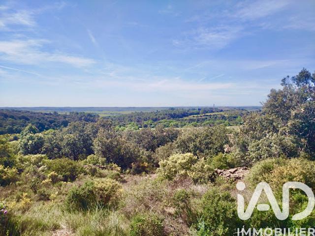 Vente Terrain 13580 m2 Neffiès