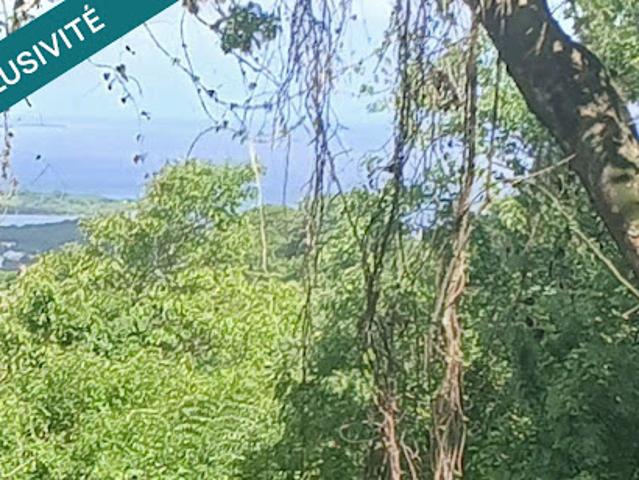 Vente Terrain 1358 m2 Le diamant