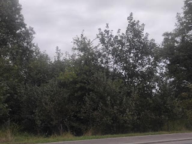 Vente Terrain 1363 m2 Vescheim
